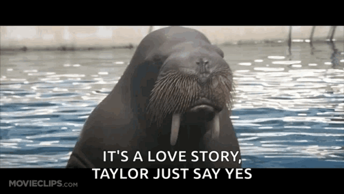 Walrus Saying It's a Love Story