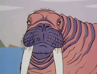 Walrus With Mouth Open and Tusks
