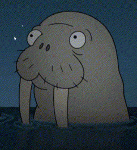 Walrus With Tusks Swimming in Ocean at Night