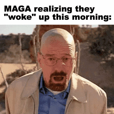 Walter White Meme Morning Realization GIF