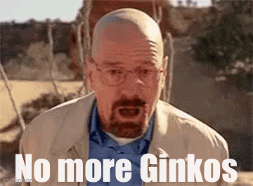 Walter White Meme No More Ginkos GIF