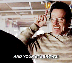 Walter White Shouting And Your Eyebrows GIF