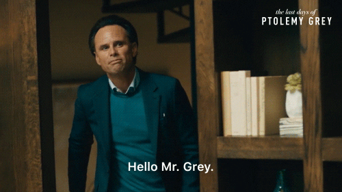 Walton Goggins Hello Mr Grey GIF
