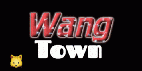 Wang Town Logo With Cat Emoji