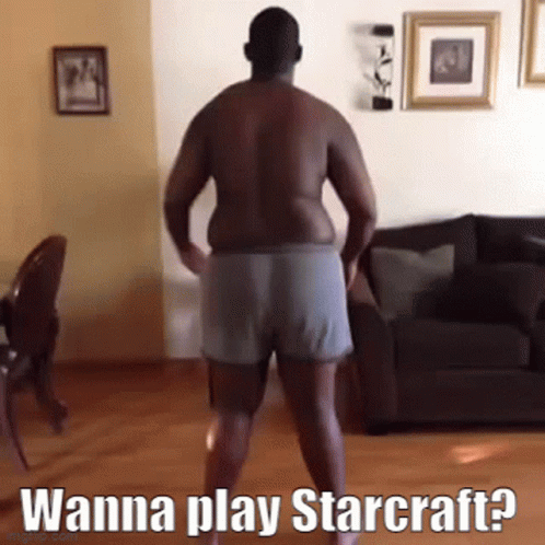 Wanna Play Starcraft 2 GIF