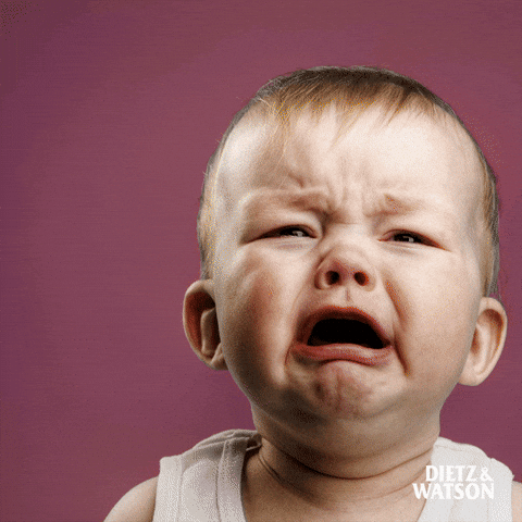 Want Cheesy With That Whine GIF