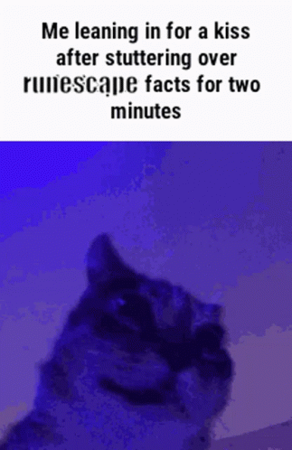 Wanting To Kiss After Talking About Runescape GIF