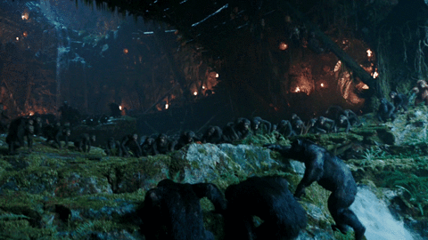 War Planet Of The Apes GIF