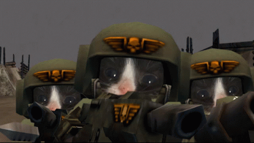 Warhammer Imperial Guard Cat GIF