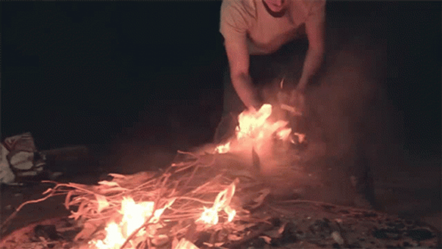 Warm Campfire Night Making GIF
