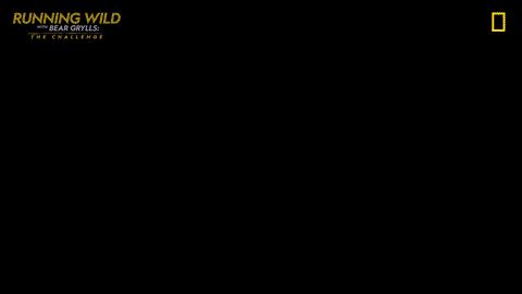 Warming Up Outside Midst Snowy Area GIF