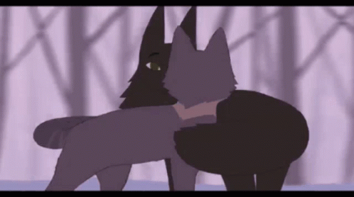 Warrior Cats Intense Eye Contact GIF
