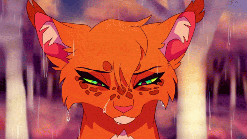 Sad Warrior Cats In The Rain GIF