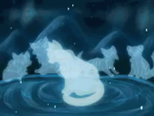 Spirit Warrior Cats Journey GIF