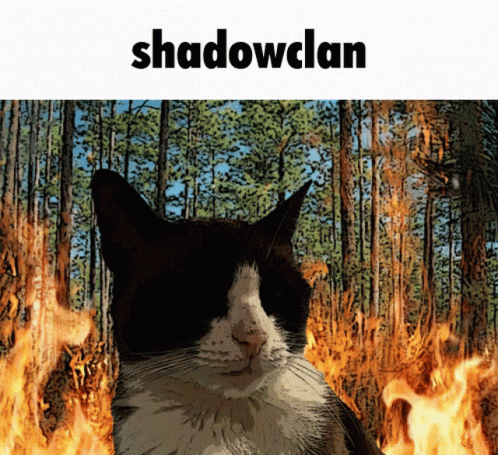 Warrior Cats Shadow Clan Burning GIF