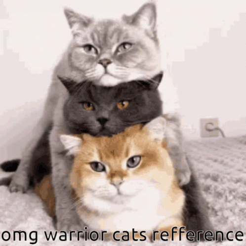 Three Warrior Cats Reference GIF