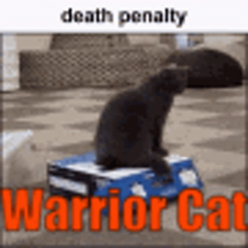 Warrior Cats Death Penalty GIF