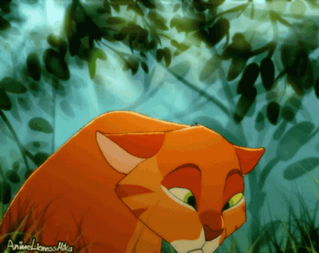 Warrior Cats GIF