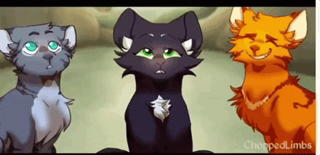 Warrior Cats GIF