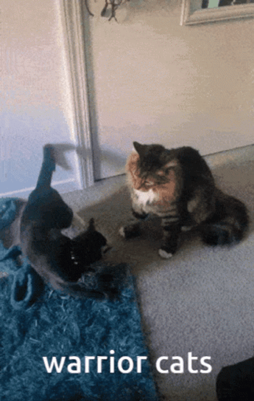 Warrior Cats Thrilling Battle GIF