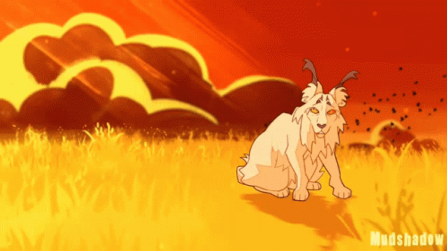 Warrior Cats GIF
