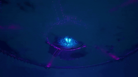 Warrior Deployed Fortnite Meme GIF