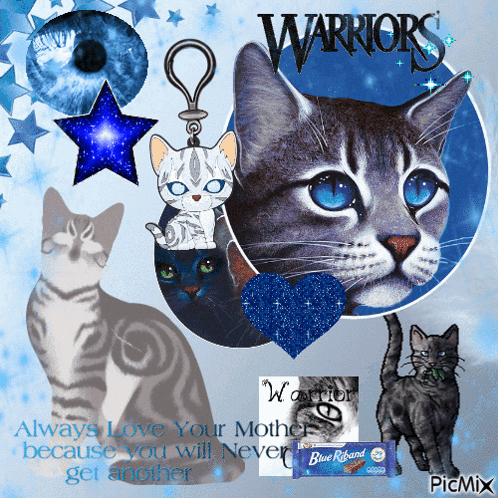 Warriors Cats Blue Heart