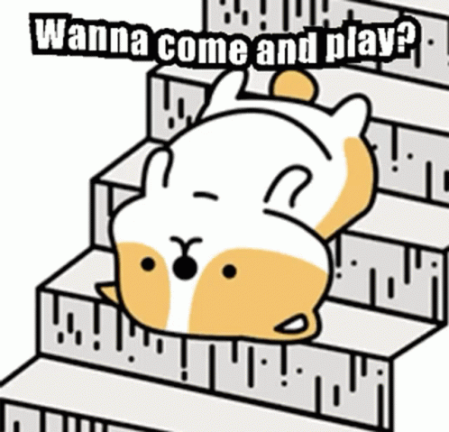 Warriors Come Out And Play Racoon Dog Cartoon GIF