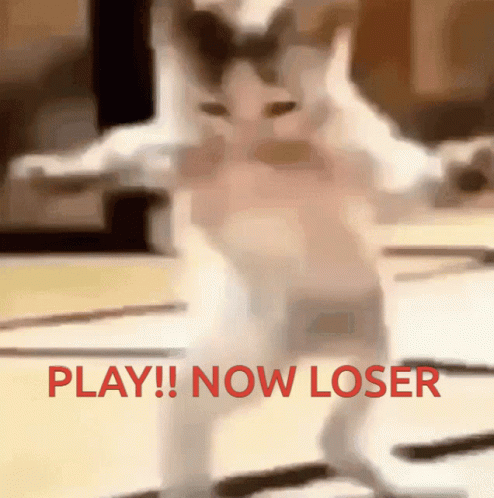 Warriors Come Out And Play Dancing Cat Meme GIF