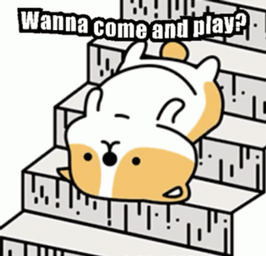 Warriors Come Out And Play Racoon Dog Cartoon GIF