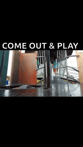 Warriors Come Out And Play Smiling Popping Head GIF