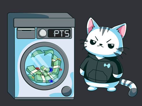 Washing Machine Purr Cat GIF