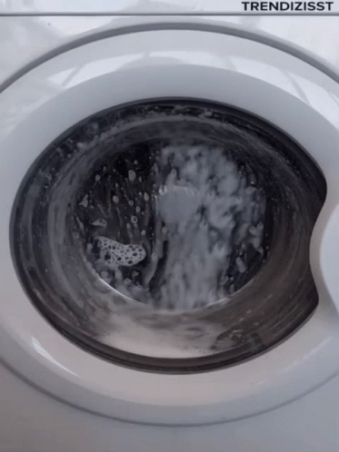 Washing Machine with Trendisst