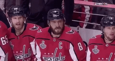 Washington Capitals Hockey Players Sitting in Stands
