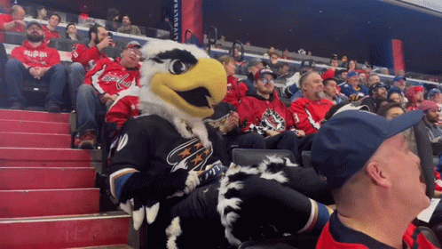 Washington Capitals Mascot Sitting In Crowd GIF