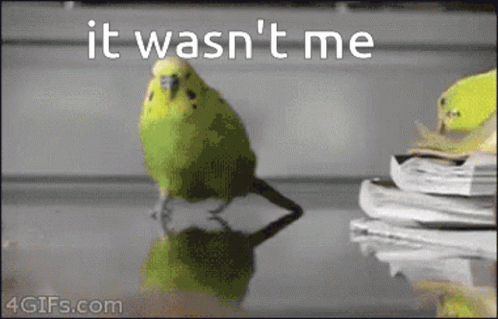 Escaping Bird On Exploding Area It Wasnt Me GIF