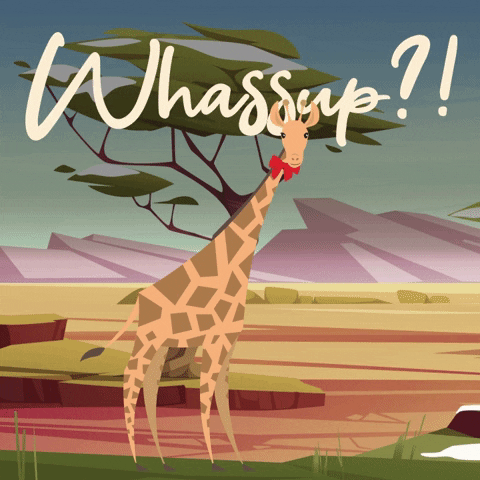 Wassup Cartoon Giraffe Looking GIF