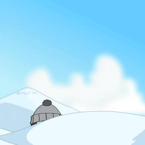 Wassup Pudgy Penguin Skiing GIF