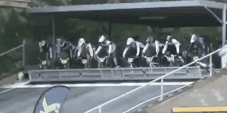 Wasted Bike Racing Fail GIF