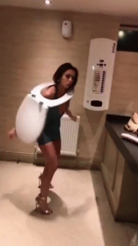 Wasted Lady Toilet Bowl Cover GIF