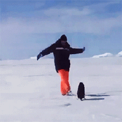 Wasted Man Penguin Snow GIF