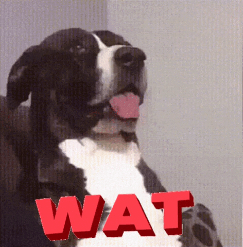 Sarcastic Doggo Wat GIF