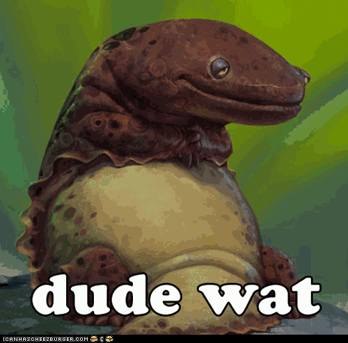 I Don't Get It Dude Wat GIF