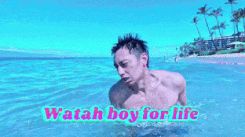Watahboy For Life Dolphin Dive GIF