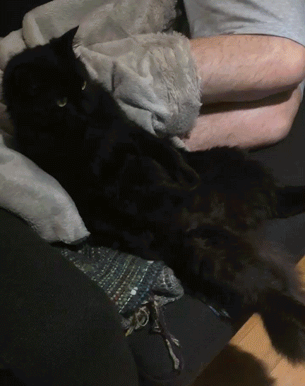 Watching Tv While Lying Down GIF