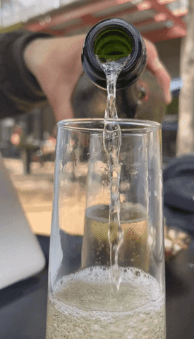 Water Champagne Pouring In Glass GIF