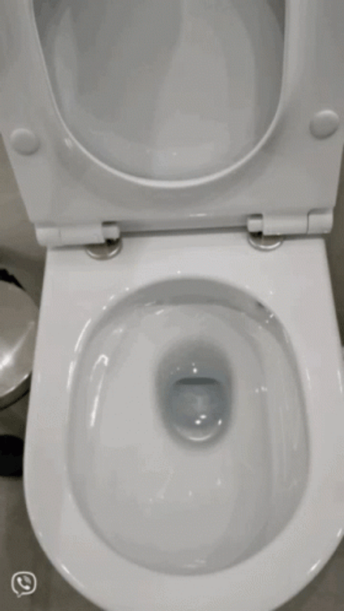 Water Flushing Toilet Bowl Close Up GIF