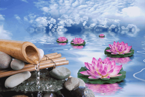 Water Is Pouring From A Bamboo Pitcher Into A Pond With Pink Flowers GIF