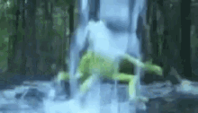 Waterboy Frog GIF