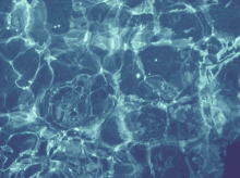 Waterboy Water Waves GIF